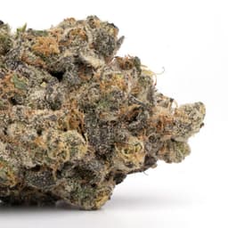Ancient OG cannabis strain