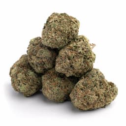 Anonymous OG cannabis strain