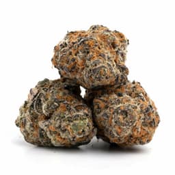 Aspen OG cannabis strain