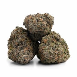 Asteroid OG cannabis strain