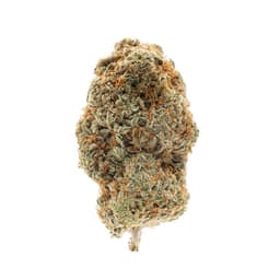 Atomic Northern Lights cannabis strain