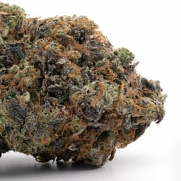 B.T.Y OG cannabis strain