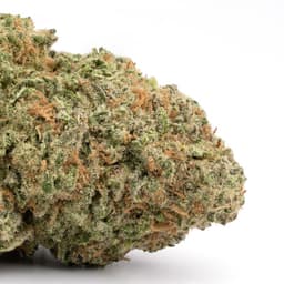 Banana Berry Split cannabis strain