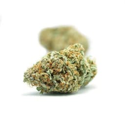 Beastmode OG cannabis strain