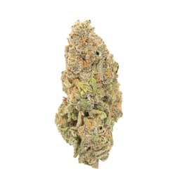 Berry OG cannabis strain