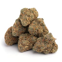 Biker OG cannabis strain
