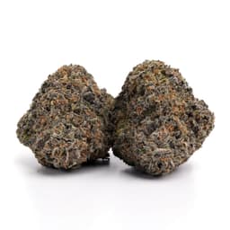 Black Ice cannabis strain