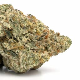 Blackberry Cookies cannabis strain