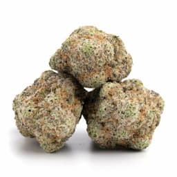 Blackberry Lime Haze cannabis strain