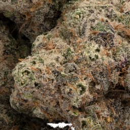 Blackberry Moonshine cannabis strain