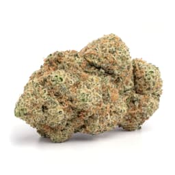 Blackberry cannabis strain