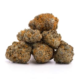 Blackwater OG cannabis strain