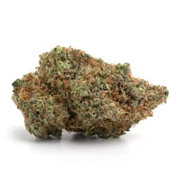 Blood Orange Amethyst cannabis strain