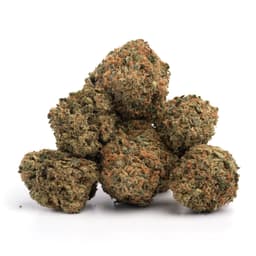 Blue Flame OG cannabis strain