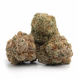 Blue Knight cannabis strain