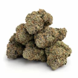 Blue Magic OG X cannabis strain