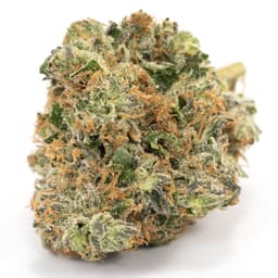 Blue Moon Rocks cannabis strain