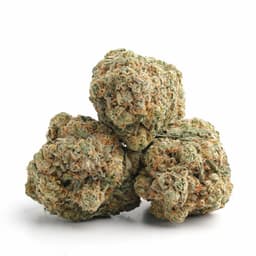 Blue Nightmare cannabis strain