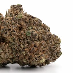 Blue OG cannabis strain