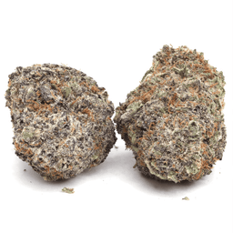 Blueberry Headband cannabis strain