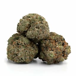 Blueberry OG cannabis strain