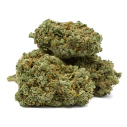 Blueberry Souffle cannabis strain