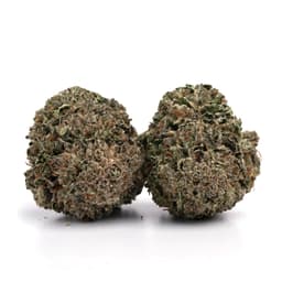 Pink 2.0 cannabis strain
