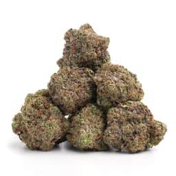 Booger cannabis strain
