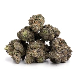 Boss Hog cannabis strain