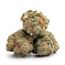 Boss OG cannabis strain