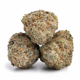 Bubba Ghost cannabis strain