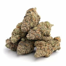Bubba Malawi cannabis strain