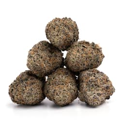 Bubba Star Dog cannabis strain
