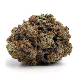 Bubba Ticket cannabis strain