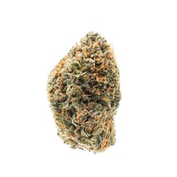 Bubbashine cannabis strain
