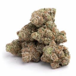 Bubbleberry cannabis strain