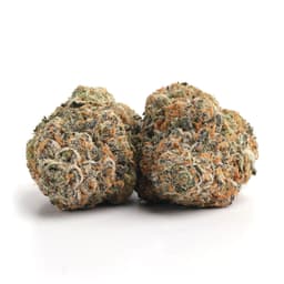 Cake Mix cannabis strain