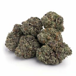 California Grapefruit cannabis strain