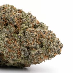 Candied Orange Pheno cannabis strain
