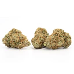 Candy Chem cannabis strain