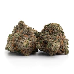 Cannatonic Sour Tsunami cannabis strain