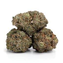 Carribean Cookies cannabis strain
