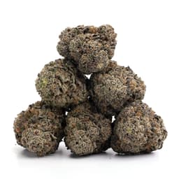 Carson City Kush cannabis strain