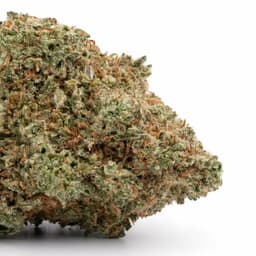 Casper OG cannabis strain