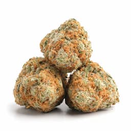 Cataract OG cannabis strain