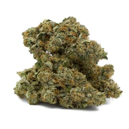 Khola cannabis strain