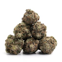 Chem Valley Kush cannabis strain