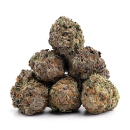 Chemdawg Sour Diesel cannabis strain