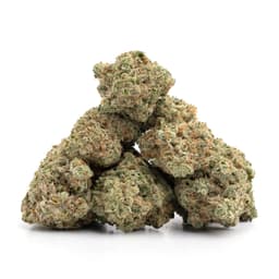 Chemdog D cannabis strain