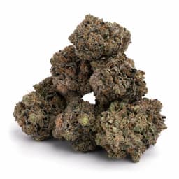 Cherber OG cannabis strain
